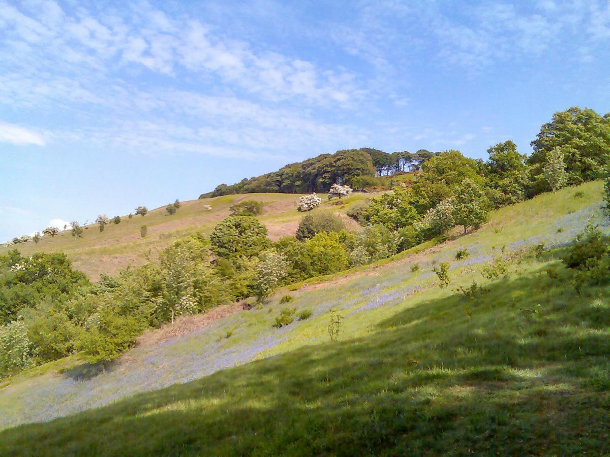Myddelton Grange Villa Ilkley Dış mekan fotoğraf
